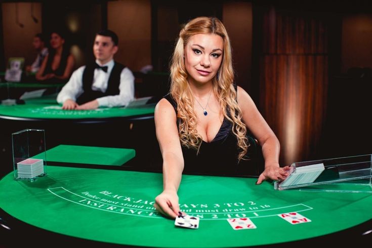 Windice Casino Live Casino